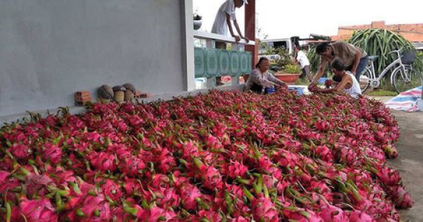 Bộ Công Thương 'bắt tay' Bộ Nông nghiệp tìm thị trường xuất khẩu mới