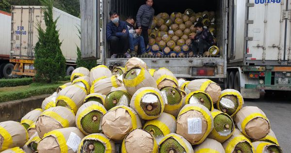 Không cách ly tài xế giao hàng ở cửa khẩu với Trung Quốc nếu có bảo hộ