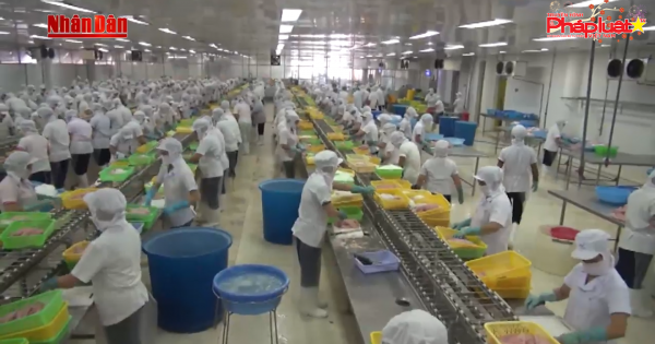 Bắt nhịp xu hướng xuất khẩu mới