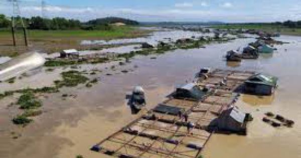 Đồng Nai phê duyệt đề án Quản lý, sắp xếp, ổn định vùng nuôi cá bè trên hồ Trị An