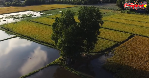 Củ Chi chưa quản lý tốt địa bàn