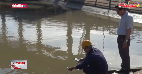 ĐBSCL: Hạn, mặn tiếp tục gây nhiều thiệt hại