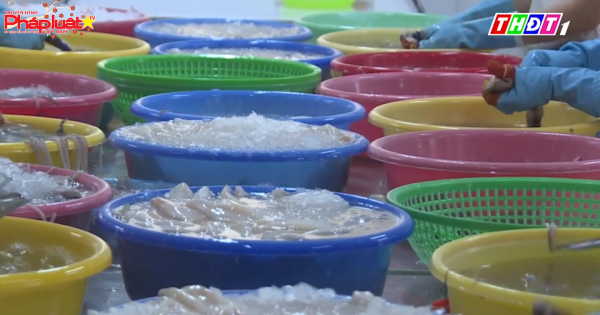 Xuất khẩu mực sang Hàn Quốc giảm mạnh