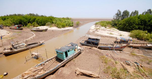 Kiến nghị trích ngân sách dự phòng T.Ư chống hạn hán, mặn