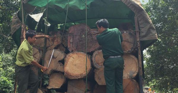 Gia Lai: Khởi tố đối tượng đánh 2 kiểm lâm bị thương