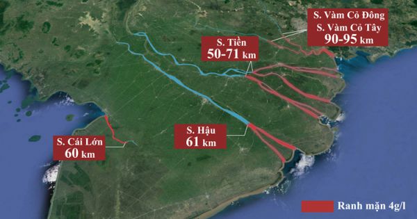 Miền Tây trong 'cơn bão' hạn mặn