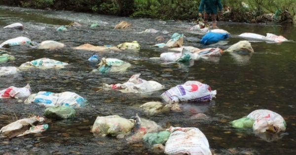 Thái Nguyên: Truy tìm kẻ ném 20 bao tải xác gà xuống đập cầu Líp