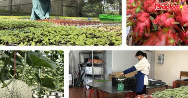 Việt Nam và Hoa Kỳ tăng cường hợp tác về nông nghiệp