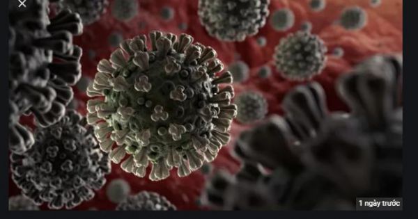 Lô vaccine COVID-19 đầu tiên của Mỹ đã được xuất xưởng