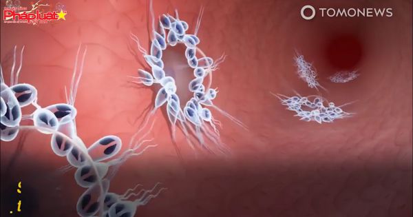 Phát hiện loài động vật đầu tiên trên thế giới không thở khí oxy