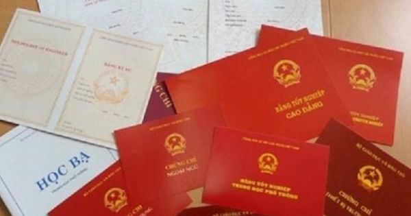 Đắk Lắk: Cách chức, buộc thôi việc nữ Hiệu trưởng sử dụng bằng cấp 3 giả