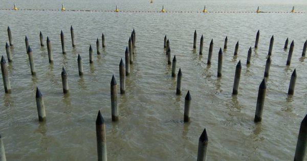 Đề nghị công nhận cụm di tích liên quan tới chiến thằng Bạch Đằng là di sản văn hóa thế giới