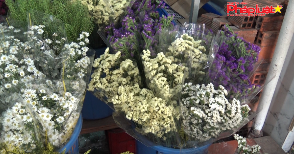 TP HCM: Thị trường hoa tươi trầm lắng trước thềm lễ 8/3 vì dịch COVID-19