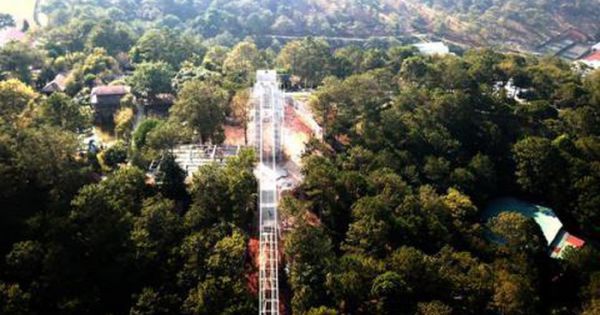 Vụ phá rừng thông xây cầu du lịch ở Đà Lạt: Đang tháo dỡ