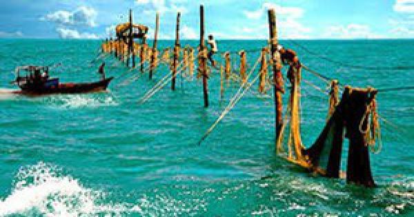 Tìm tung tích đầu người mắc kẹt trong đáy lưới của ngư dân