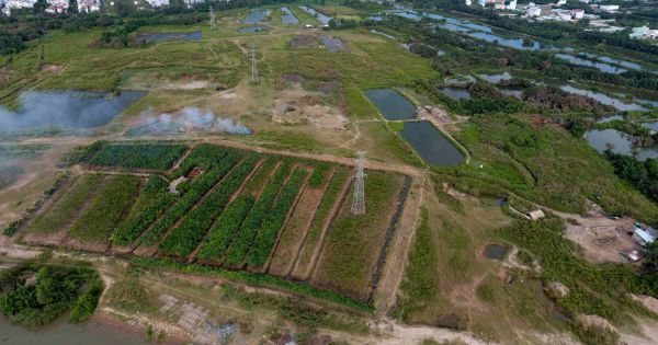 TPHCM yêu cầu minh bạch trong việc cho thuê, chuyển nhượng tài sản công