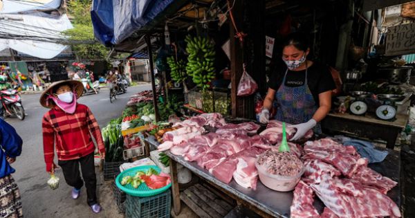 Thủ tướng yêu cầu sớm giảm giá thịt lợn