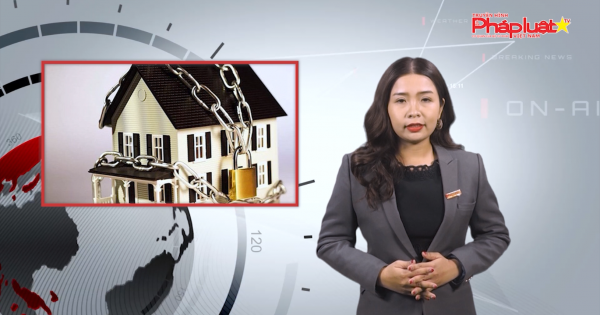 BẢN TIN PHÁP LUẬT- Kỳ 113: