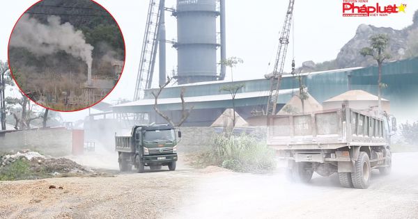 Phường Chùa Hang, Thái Nguyên: Công ty Nhật Huyền 