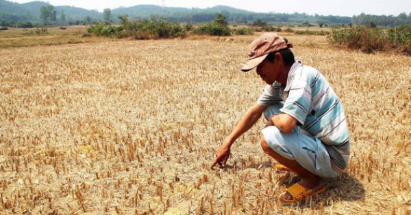 Đồng Nai cấp bách phòng chống hạn mặn trong mùa khô