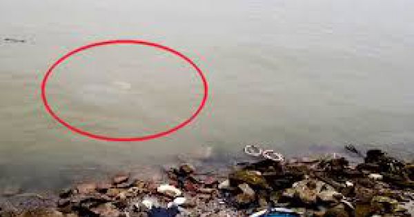 Xác định được đối tượng đổ chất thải nghi độc hại xuống sông Hồng