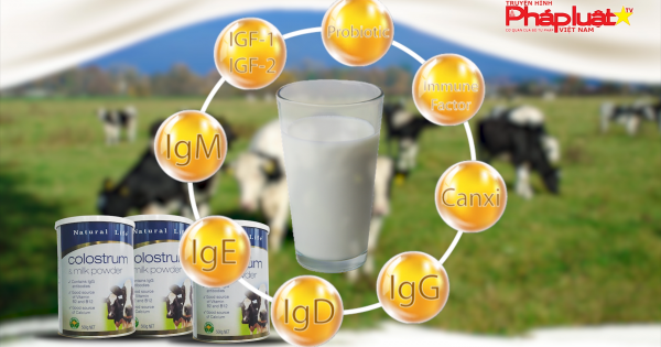 Bản tin thị trường tiêu dùng -Số 32