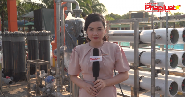 CEO Nguyễn Phương Hằng: 