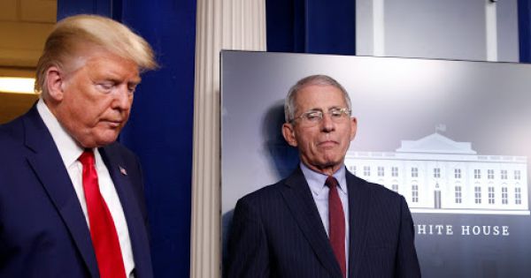 Nhà trắng dự báo ‘gậy sốc’ về dịch Covid-19 tại Mỹ