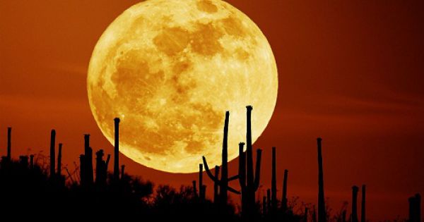 Siêu trăng lớn nhất năm sắp xuất hiện