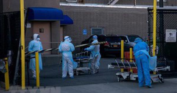 Việt Nam xuất sang Mỹ hơn 450.000 bộ quần áo bảo hộ DuPont