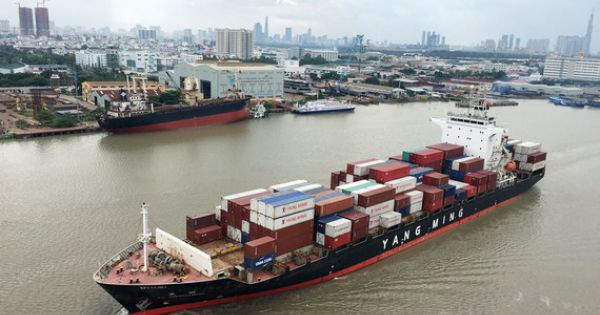 TPHCM: Đường thủy nỗ lực đua cùng đường bộ