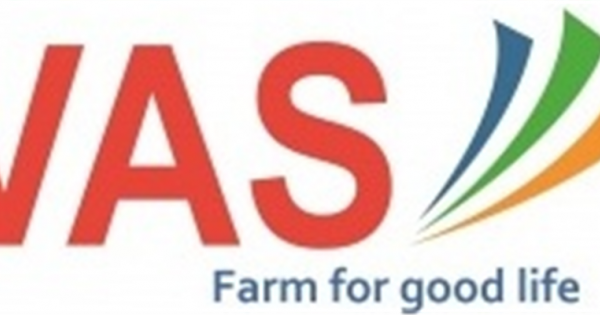 Bị xúc phạm danh dự trên Youtube, CTCP Khoa học Nông nghiệp Việt làm đơn tố cáo