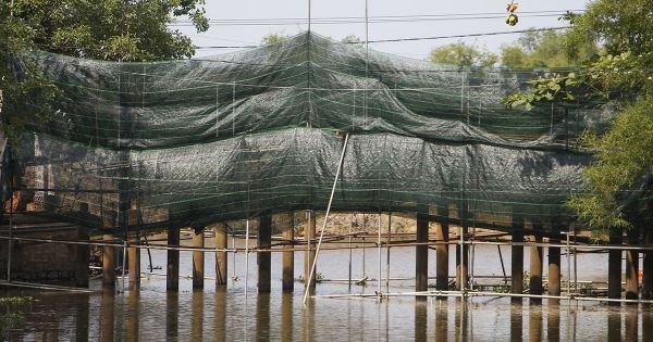 Cầu ngói hơn 240 năm được trùng tu