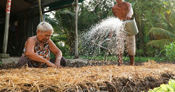 Cà Mau tìm giải pháp lâu dài đối phó sụt lún, sạt lở