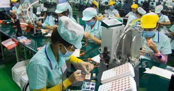 97% doanh nghiệp tại TP HCM được gia hạn thuế