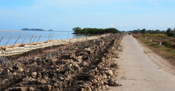 Cà Mau đề xuất hỗ trợ hơn 1.300 tỷ đồng nâng cấp các dự án thích ứng với biến đổi khí hậu