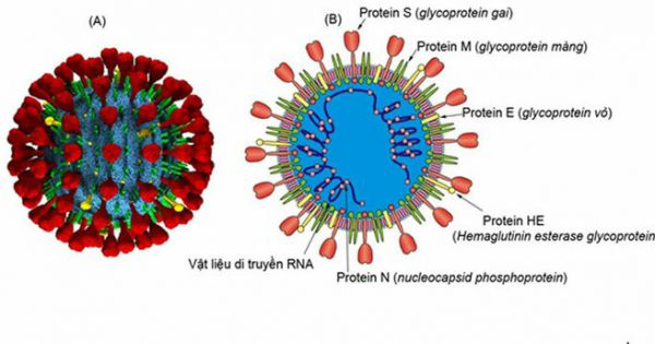 Cảm biến phát hiện nCoV trong không khí