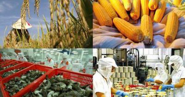 Hội nghị giao thương trực tuyến nông sản, thực phẩm Việt - Trung