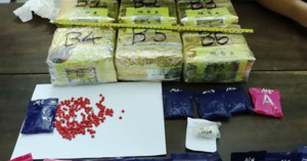 Giấu hơn 1.000 viên ma túy tổng hợp trong chậu cây cảnh để dùng dần