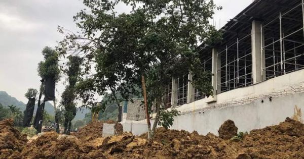 Vụ xâm hại di sản Tràng An: Buộc tháo dỡ các công trình trái phép