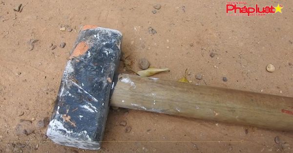 Hóc Môn: Giang hồ ngang nhiên hủy hoại tài sản trên đất đang tranh chấp