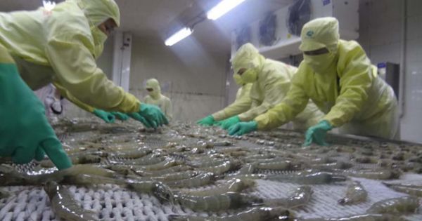 Doanh nghiệp thủy sản kiến nghị được giảm lãi vay bằng USD