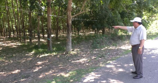 Kỳ 1: Huyện Phú Giáo, tỉnh Bình Dương: Vì sao trả xong nợ nhưng ngân hàng không trả lại sổ đỏ?