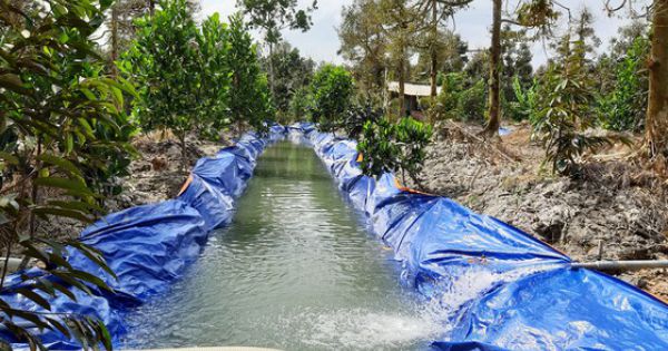 Xâm nhập mặn ở ĐBSCL có xu thế giảm dần từ tháng 5