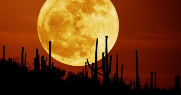 Siêu trăng cuối cùng của năm 2020 sẽ xuất hiện vào chiều nay