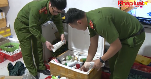 Bản tin thị trường tiêu dùng- Số 42