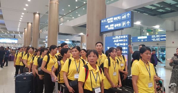 Dừng đưa lao động Việt Nam sang Nhật Bản làm việc cho đến hết tháng 5