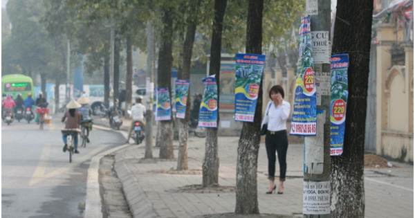 Doanh nghiệp bị phạt 40 triệu đồng vì dán quảng cáo trên cột điện