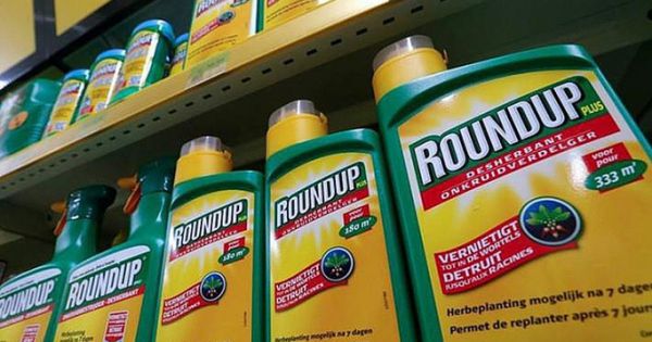 Thuốc bảo vệ thực vật chứa hoạt chất glyphosate chỉ được buôn bán, sử dụng đến ngày 30/6/2021