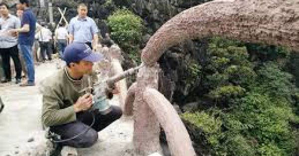 Thu hồi bằng khen tặng cho doanh nghiệp liên tiếp xâm hại di sản Tràng An